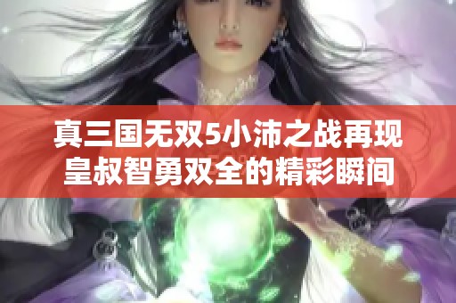 真三国无双5小沛之战再现皇叔智勇双全的精彩瞬间