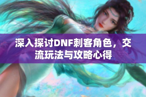 深入探讨DNF刺客角色，交流玩法与攻略心得