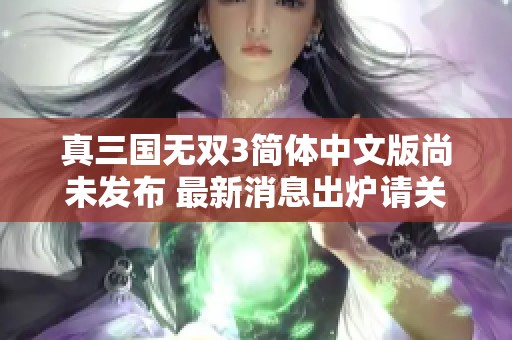 真三国无双3简体中文版尚未发布 最新消息出炉请关注