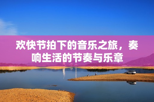 欢快节拍下的音乐之旅，奏响生活的节奏与乐章