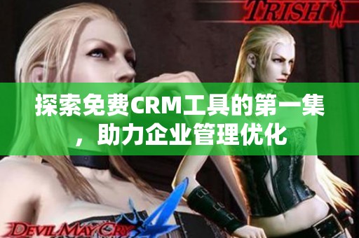 探索免费CRM工具的第一集，助力企业管理优化