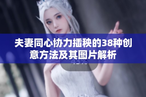 夫妻同心协力插秧的38种创意方法及其图片解析