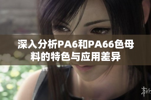 深入分析PA6和PA66色母料的特色与应用差异