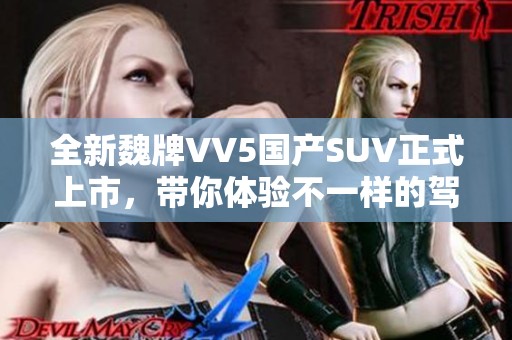 全新魏牌VV5国产SUV正式上市，带你体验不一样的驾驶乐趣