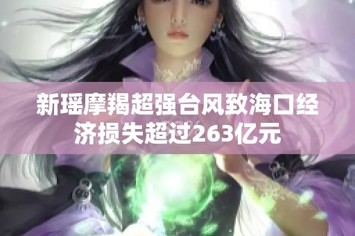 新瑶摩羯超强台风致海口经济损失超过263亿元