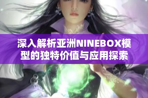 深入解析亚洲NINEBOX模型的独特价值与应用探索