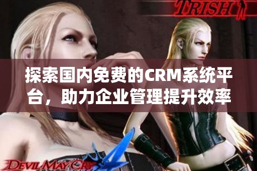 探索国内免费的CRM系统平台，助力企业管理提升效率