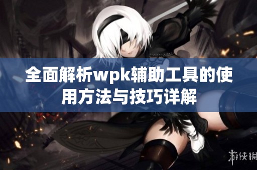 全面解析wpk辅助工具的使用方法与技巧详解