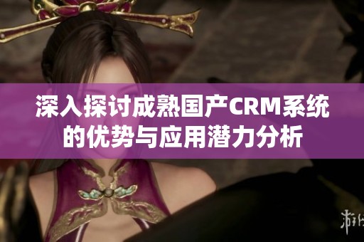 深入探讨成熟国产CRM系统的优势与应用潜力分析