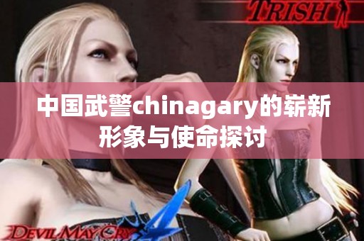 中国武警chinagary的崭新形象与使命探讨