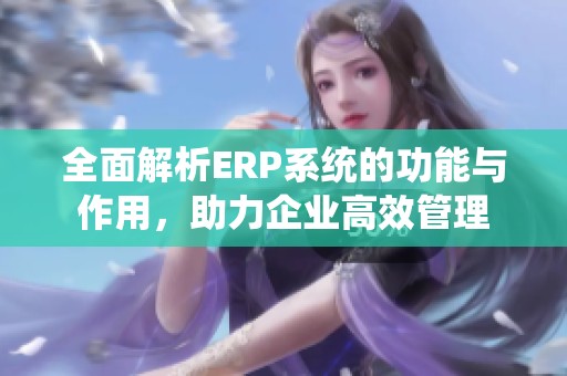 全面解析ERP系统的功能与作用，助力企业高效管理